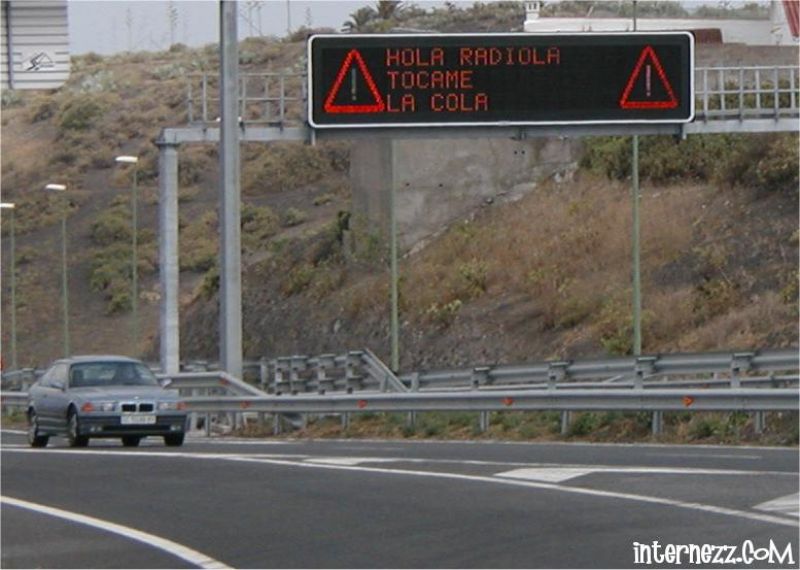 hola raiola tocame la cola.jpg